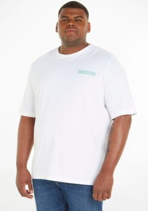 Calvin Klein Big&Tall T-Shirt
