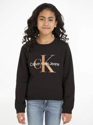 Calvin Klein Jeans Sweatshirt »BRONZE MONOGRAM CN SWEATSHIRT«