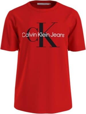 Calvin Klein Jeans T-Shirt »SEASONAL MONOLOGO TEE«