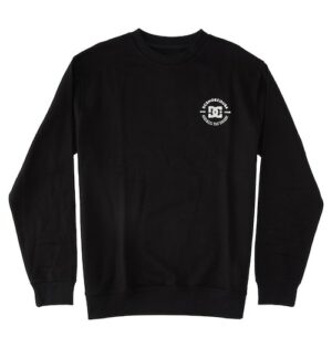 DC Shoes Sweatshirt »DC Star Pilot«