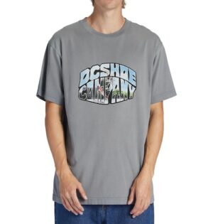 DC Shoes T-Shirt »Citywide«
