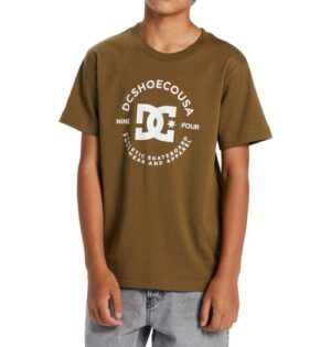 DC Shoes T-Shirt »DC Star Pilot«