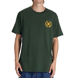 DC Shoes T-Shirt »Lifes Changing«