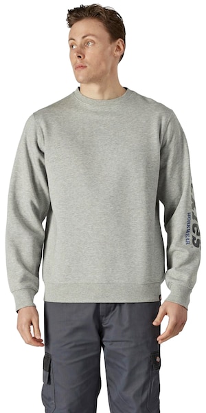 Dickies Sweatshirt »Okemo-Graphic«