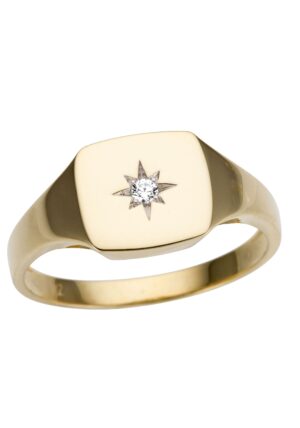 Firetti Goldring »Schmuck Geschenk Gold 333 Siegelring