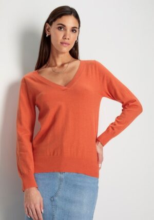 HECHTER PARIS V-Ausschnitt-Pullover
