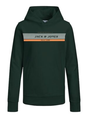 Jack & Jones Junior Kapuzensweatshirt »JJALEX SWEAT HOOD JNR«