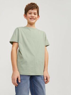 Jack & Jones Junior Kurzarmshirt »JJEORGANIC BASIC TEE SS O-NECK NOOS JNR«