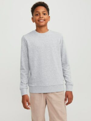 Jack & Jones Junior Sweatshirt »JJEBRADLEY SWEAT CREW NOOS JNR«