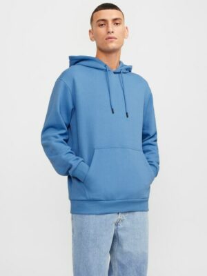 Jack & Jones Kapuzensweatshirt »JJEBRADLEY SWEAT HOOD NOOS«