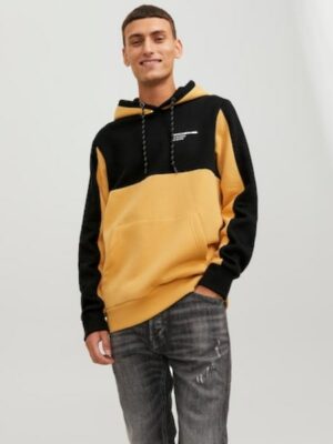 Jack & Jones Kapuzensweatshirt »JJEFORCE BLOCKING SWEAT HOOD NOOS«