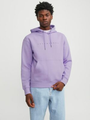 Jack & Jones Kapuzensweatshirt »JJESTAR JJ SWEAT HOOD NOOS«