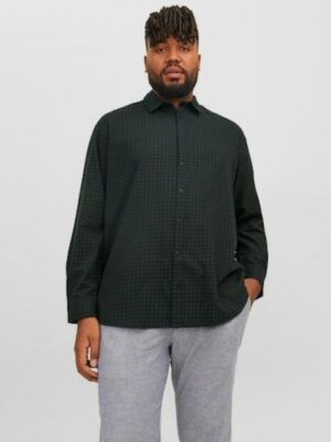 Jack & Jones PlusSize Karohemd »JJEGINGHAM TWILL SHIRT L/S NOOS PLS«