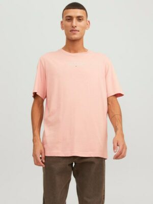 Jack & Jones Rundhalsshirt »JPRBLUARCHIE TEE CREW NECK«