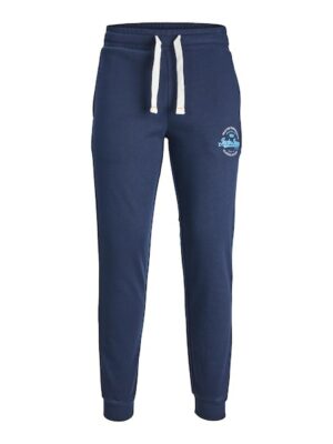 Jack & Jones Sweathose »JPSTGORDON JJMIKK SWEAT PANT NAFA«