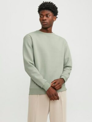 Jack & Jones Sweatshirt »JJEBRADLEY SWEAT CREW NOOS«