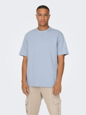 ONLY & SONS Rundhalsshirt »ONSFRED LIFE RLX SS TEE NOOS«