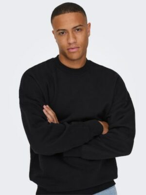 ONLY & SONS Sweatshirt »ONSDAN LIFE RLX HEAVY SWEAT CREW NOOS«