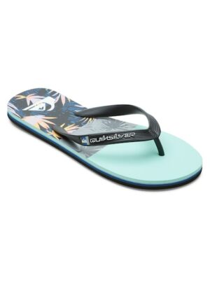 Quiksilver Sandale »Molokai Panel«