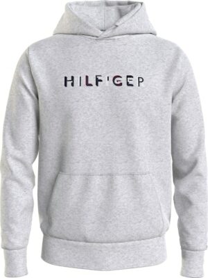 Tommy Hilfiger Hoodie »RWB HILFIGER HOODY«