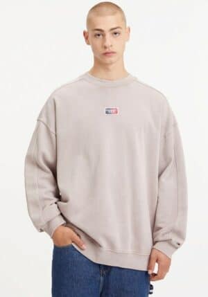 Tommy Jeans Sweater »TJM SKATER TIMELESS TOMMY CREW«