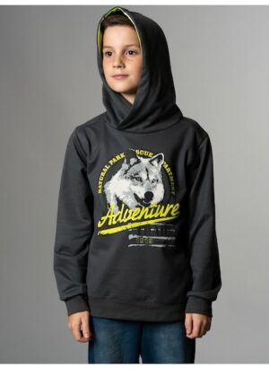 Trigema Sweatshirt »TRIGEMA Hoodie mit großem Wolf-Print«